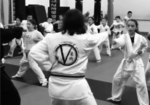 Martial Arts kids instruction