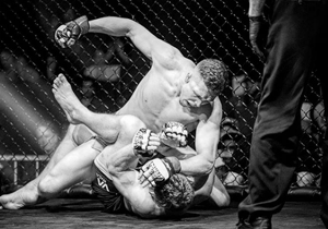 mixed martial arts fight photo